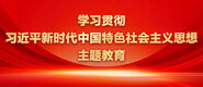 看操小浪逼小视频学习贯彻习近平新时代中国特色社会主义思想主题教育_fororder_ad-371X160(2)